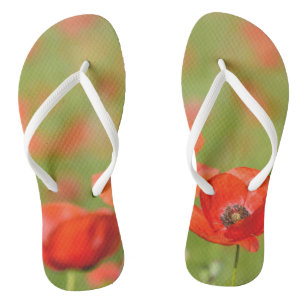 Poppies in a poppy field flip-flops flip flops