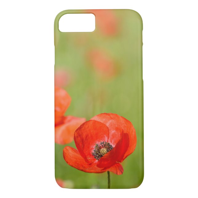 Poppies in a poppy field iphone 7 case (Back)