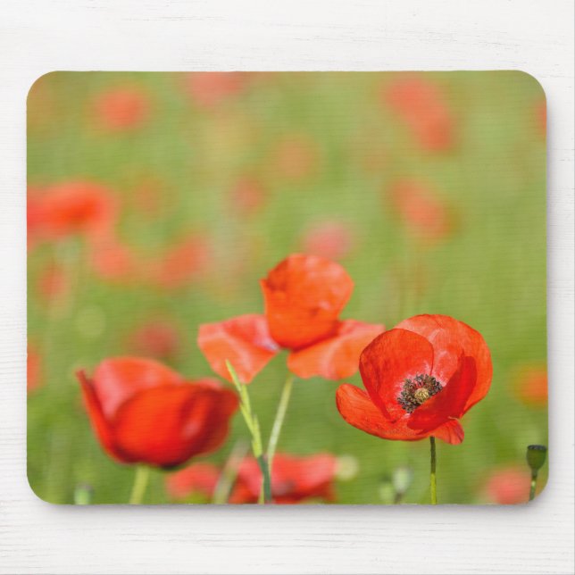 Poppies in a poppy field mousepad (Front)