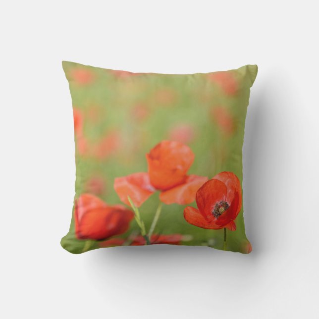 Poppies in a poppy field outdoor pillow (Front)