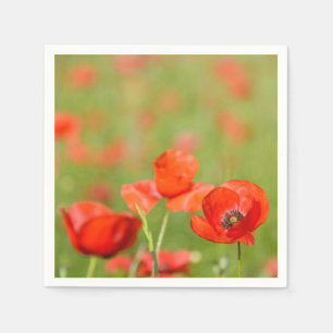 Poppies in a poppy field paper napkins