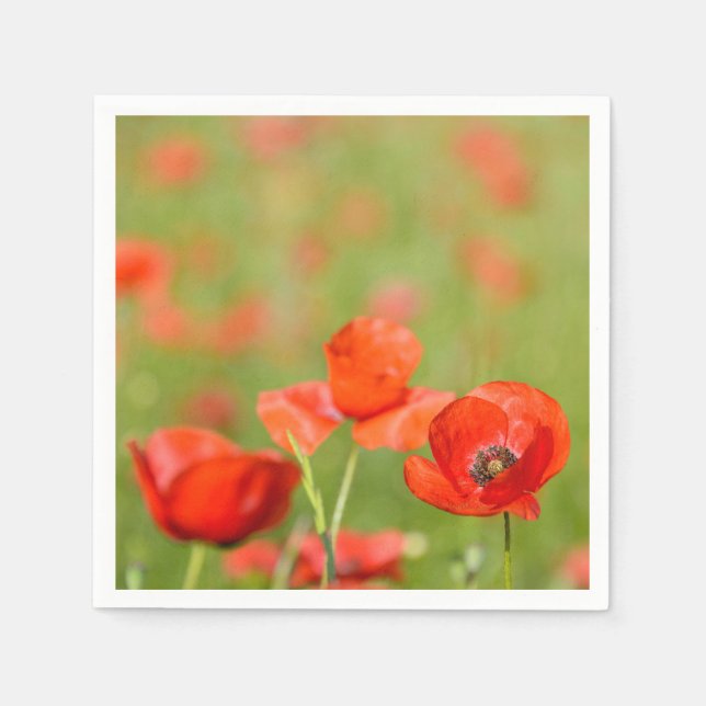 Poppies in a poppy field paper napkins (Front)
