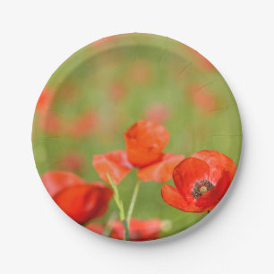 Poppies in a poppy field picnic paper plate