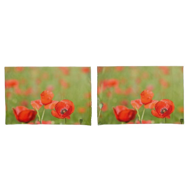 Poppies in a poppy field pillow case (Front-Set)