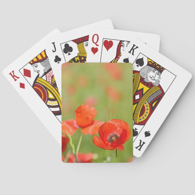 Poppies in a poppy field playing cards (Back)