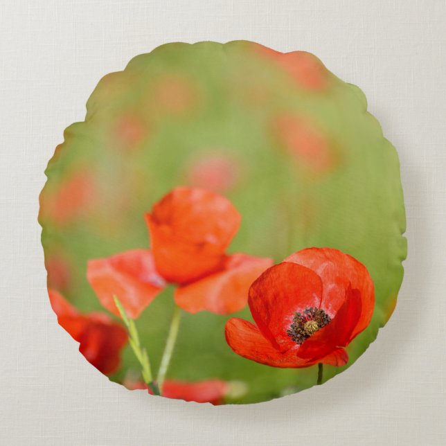 Poppies in a poppy field round pillow (Front)