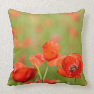 Poppies in a poppy field throw pillow