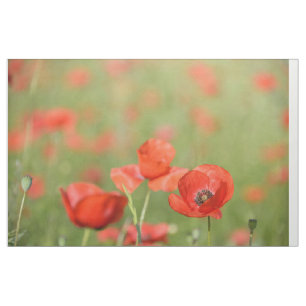 Poppies in a red flower poppy field fabric