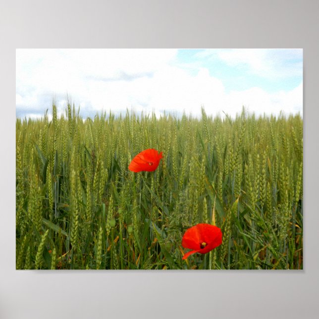 Poppies in a Wheat Field Value Poster Paper (Front)