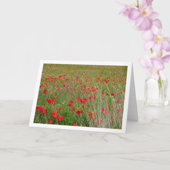 Poppies in Field Landscape Card (Orchid)