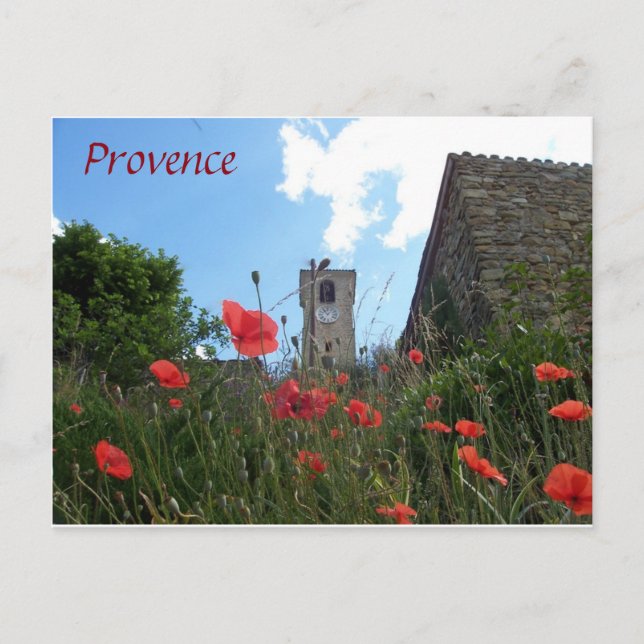Poppies in Provence postcard (Front)