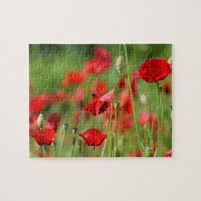 Poppies Jigsaw Puzzle (Horizontal)