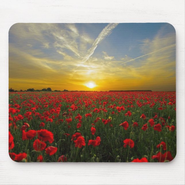 Poppies Mouse Mat (Front)
