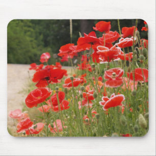 poppies mousepad
