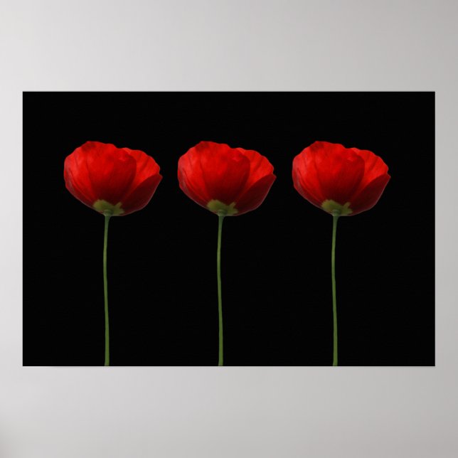 Poppies on Black Poster (Front)