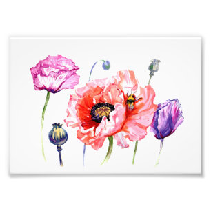 Poppies Poppy Field Flowers, Floral Watercolor Art Photo Print