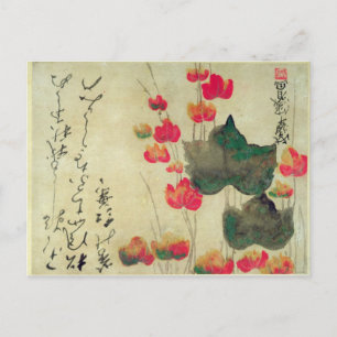 Poppies Postcard