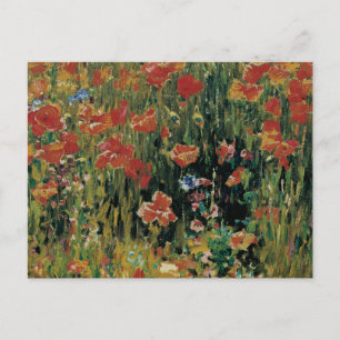 Poppies Postcard