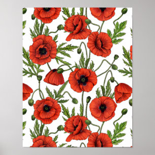 Poppies, red and green on  white poster