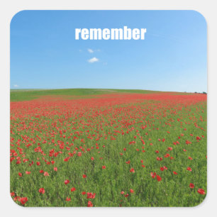 Poppies remember square sticker
