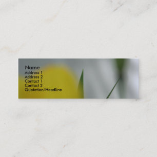 Poppies & shades 4 mini business card