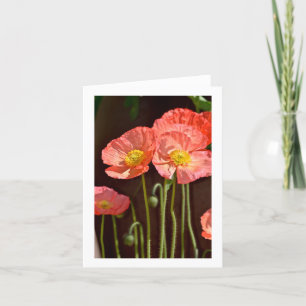 Poppies - Stationary Note Card