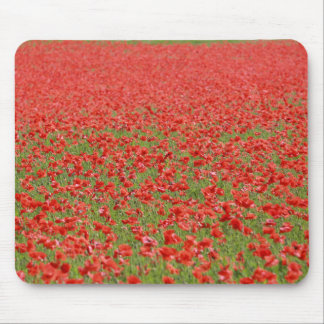 Poppies - thousands! mouse mat