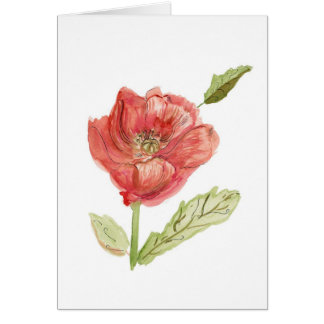 Poppy