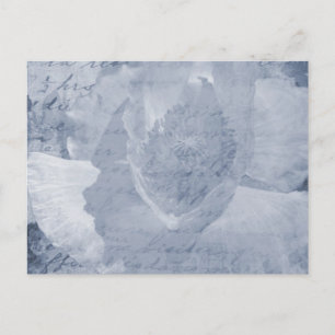 Poppy 2 postcard