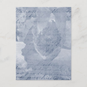 Poppy 2 postcard