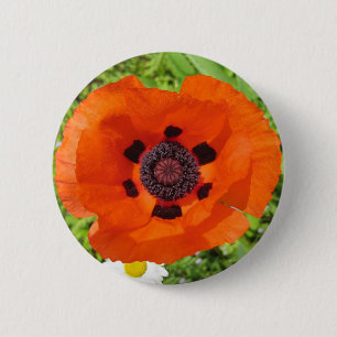 Poppy 6 Cm Round Badge