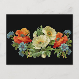 Poppy and Cornflowers Vintage Floral Postcard