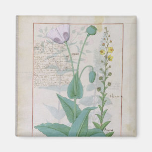 Poppy and Figwort Magnet