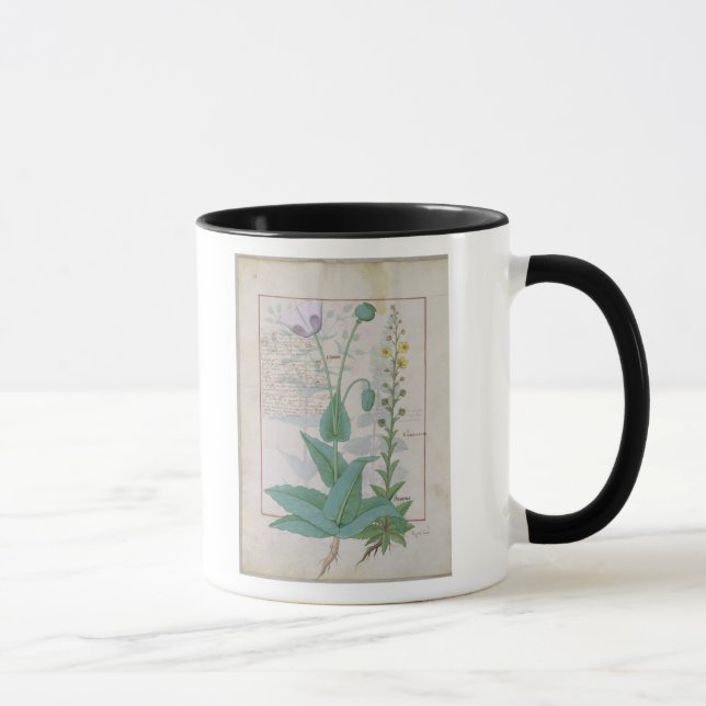 Poppy and Figwort Mug (Right)