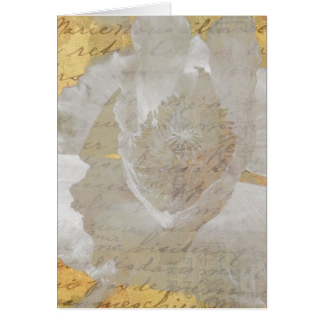 Poppy and Vintage Ephemera Collage All Occasions (Front)