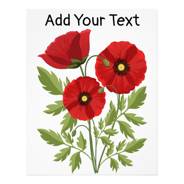 Poppy blooming joyful Summer Flowers Photo Print (Front)