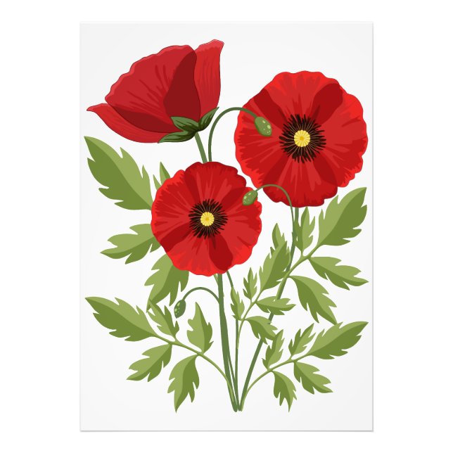 Poppy blooming joyful Summer Flowers Photo Print (Front)