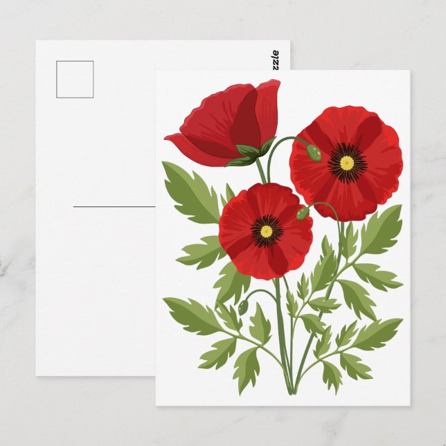 Poppy blooming joyful Summer Flowers Postcard (Front/Back)