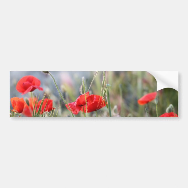 poppy bumper sticker (Front)