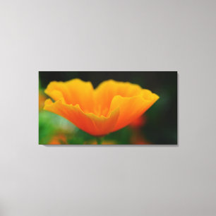 Poppy! Canvas Print
