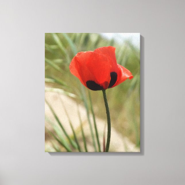 Poppy Canvas Wall Print (Front)