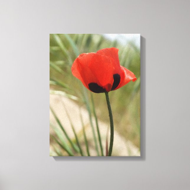Poppy Canvas Wall Print (Front)