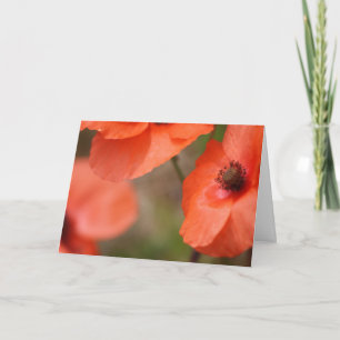 Poppy Card