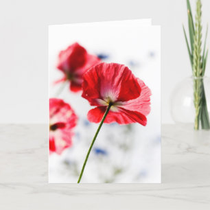 Poppy card