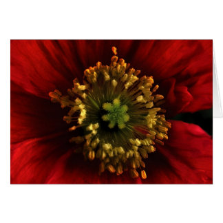 Poppy Card