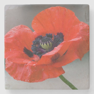 Poppy coaster