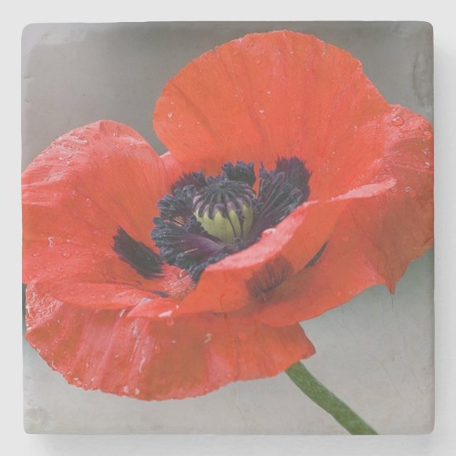 Poppy coaster (Front)