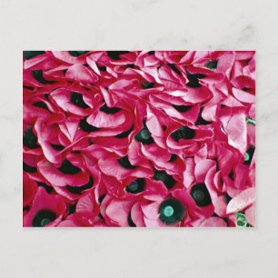 Poppy day postcard