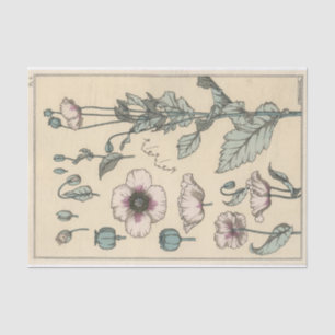 Poppy, Eugene Grasset's Botany Series Tissue Paper
