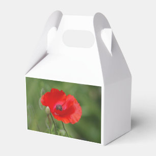 Poppy Favour Box